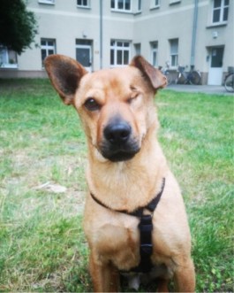 Green for the Future