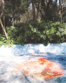 Green for the Future