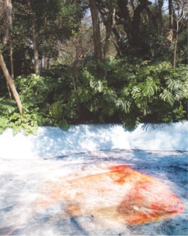 Green for the Future