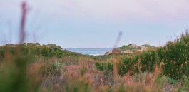 Green for the Future