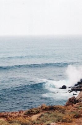 Green for the Future