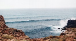 Green for the Future