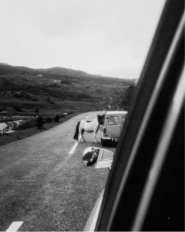 Green for the Future