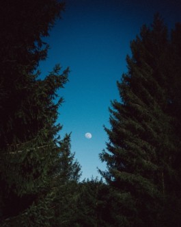 Green for the Future