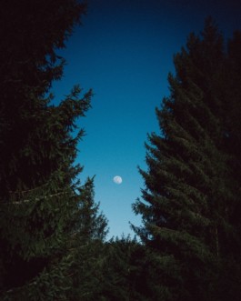 Green for the Future