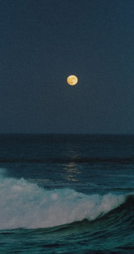 Green for the Future